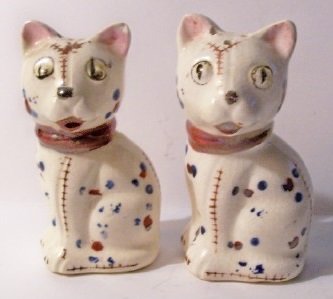 cat shakers4.jpg