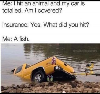 241329690_874997073131881_8514047598450403319_n[1].jpg