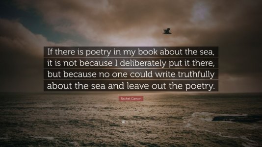 5081540-Rachel-Carson-Quote-If-there-is-poetry-in-my-book-about-the-sea-it.jpg