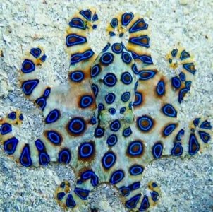 spots090821.jpg