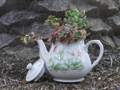 mothers-day-teapot-5.12[1].jpg