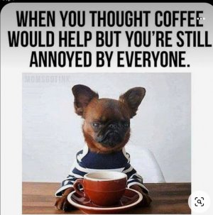 F85A14B7-F053-4157-AA66-231F72C51F79.jpeg