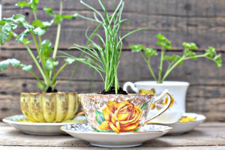 Herb-garden[1].jpg