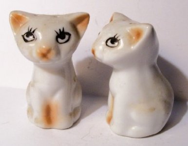 cat shakers8.jpg