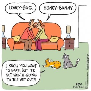 Love bug.jpg