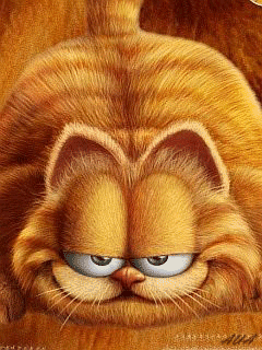 c791edd1fbcca58a461b5767d54305b3[1].gif