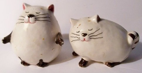 cat shakers9.jpg