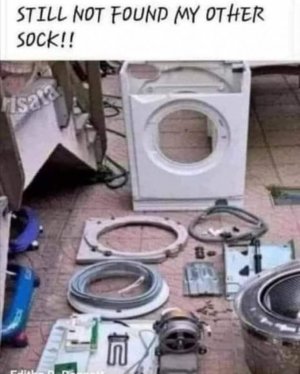 241380012_4295712603857279_4893833533089453232_n[1].jpg
