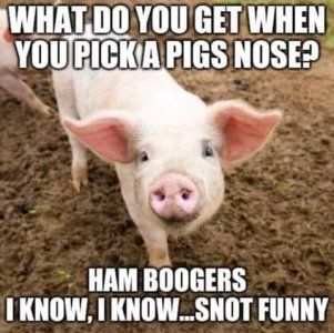 Ham boogers.jpg