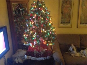tree.jpg