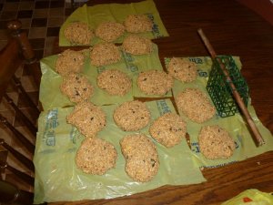 bird patties222.jpg bird patties222.jpg