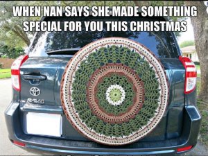 Something special for Christmas.JPG