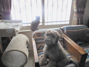 DSCN0954 (1500x1125).jpg