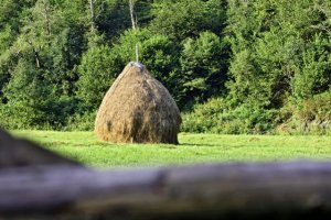 haystack.jpg
