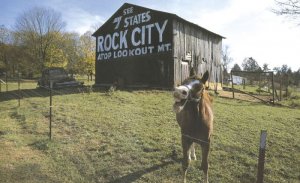 rockcity.jpg
