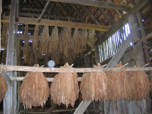 TobaccoBarn.jpg
