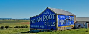 indianroot.jpg