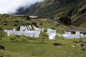 clothesline.jpg