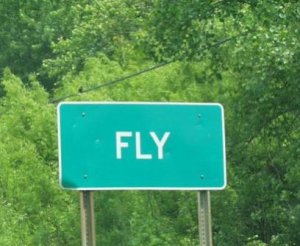 fly.jpg