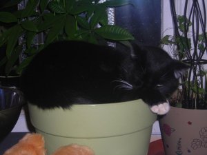 021.jpg 021.jpg