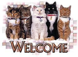 cat welcome.png