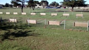 big horseshoe pit.jpg