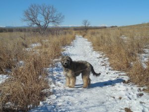 DSCN0977 (1500x1125).jpg DSCN0977 (1500x1125).jpg