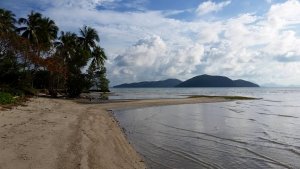 lowtide8.jpg lowtide8.jpg