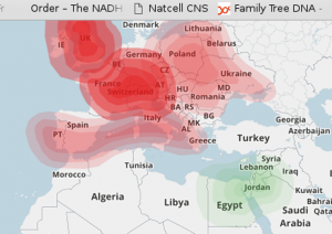 myFTDNA.png