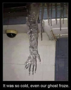 image.jpeg