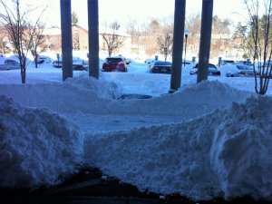IMG_2464.jpg