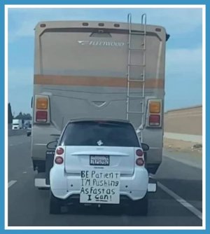 241734604_879120172719571_4085296859139511566_n[1].jpg