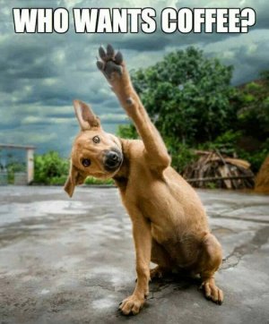 Funny-Coffee-Memes (1).jpg