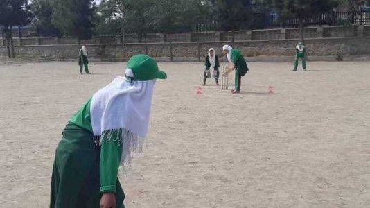 cricket.jpg