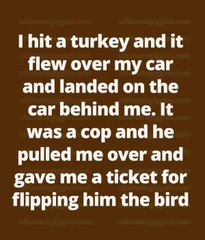 Flip bird.jpg
