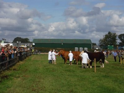 DSCF0850.JPG