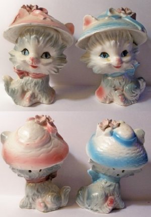 cat shakers14.jpg