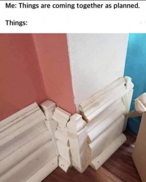241762941_880940602537528_8680580073506783670_n[1].jpg