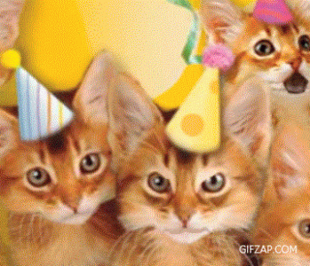cat birthday gif2.gif