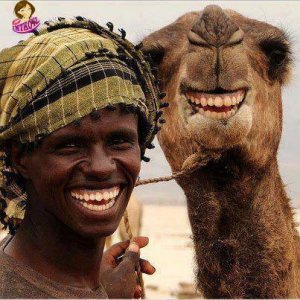 closeup smile.jpg