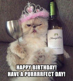 101 Funny Cat Birthday Memes for the Feline Lovers in Your Life.jpeg