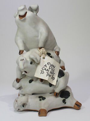 Pig get to top.1.jpg