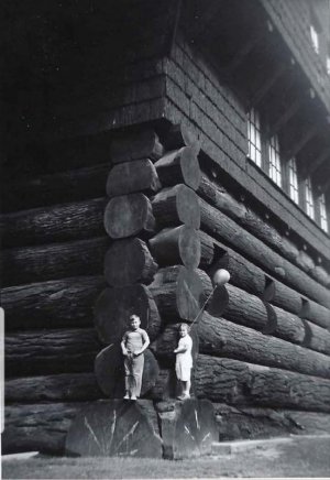 log cabin.jpg