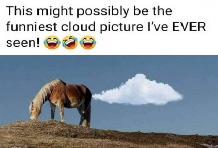 Horse fart.jpg