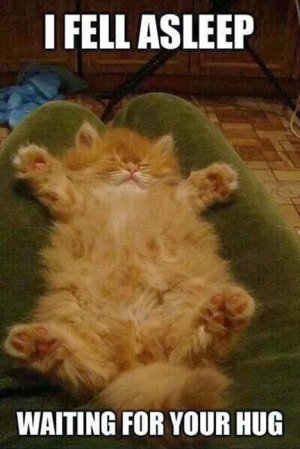 you-can-still-hug-me-if-you-want.jpg