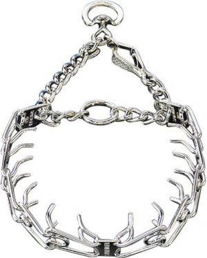 pinch collar.jpg