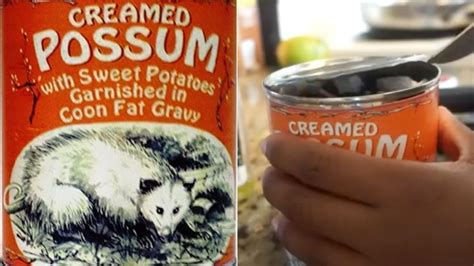 creamed opossum open can.jpg