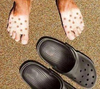 croc-tan[1].jpg