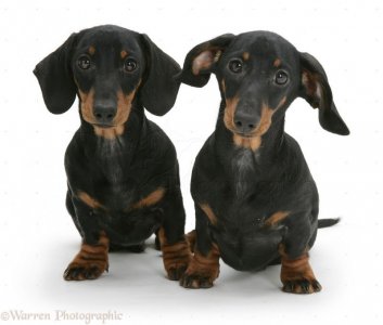 paradox.jpg paradox.jpg