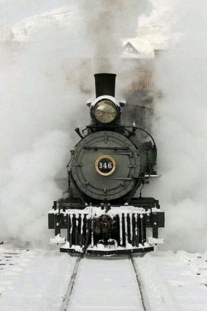 242149997_1258684284552911_7836167320765668916_n.jpg